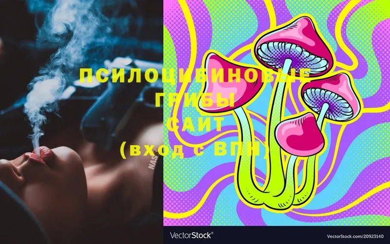 Псилоцибиновые грибы Magic Shrooms  Жуковский 