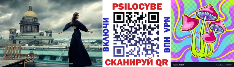 закладки  Жуковский  Галлюциногенные грибы мицелий 