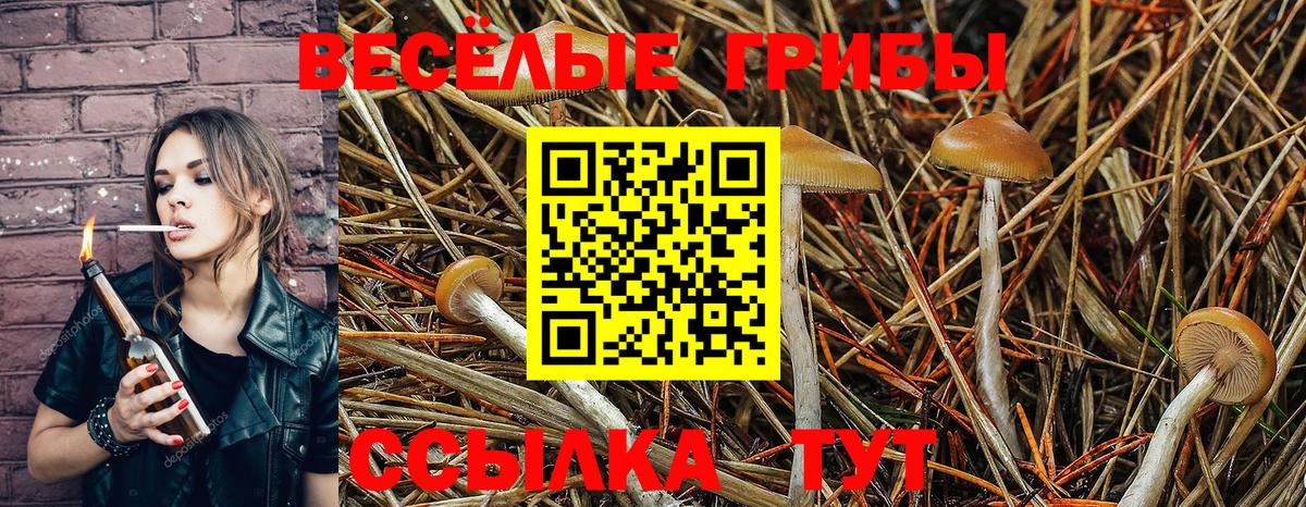 Галлюциногенные грибы GOLDEN TEACHER Жуковский