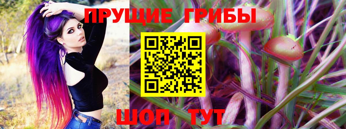 Жуковский  цены наркотик  Вход с VPN  Псилоцибиновые грибы прущие грибы 